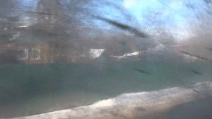 Щербинка, маршрутка 1, участок Гарнизон - Платформа Щербинка