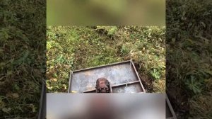 Мульчер косилка для трактора TZ 4k 14 своими руками