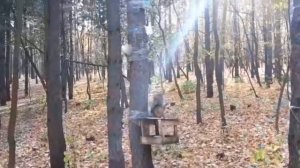 Непейцевский дендропарк в Уфе.