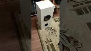 10ГДШ в ФИ корпусе