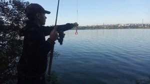 Проводка на снос. Лучшая проводка на щуку, голавля, окуня и жереха