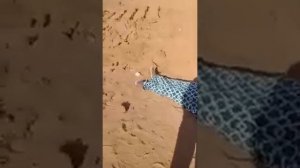 Срочно бачаи Точика куштан.дар Россия