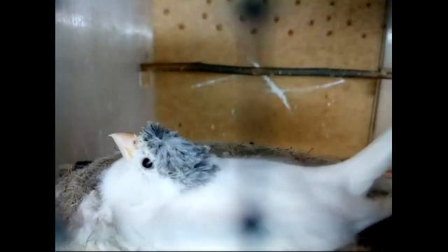 ЧАСТЬ 3 -  КЛАДКА смотреть онлайн