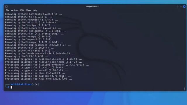Install Uninstall and auto-remove python from Kali Linux | Ethica ...