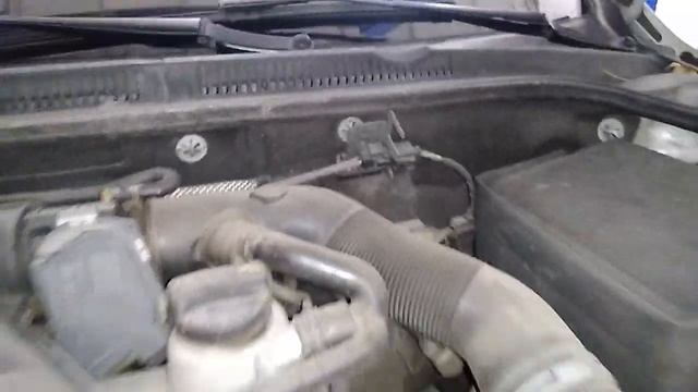 Cómo revisar correctamente los niveles de Aceite y fluidos DEL Motor // VW JETTA 2018 смотреть онлайн