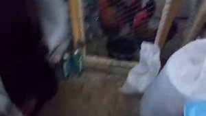 Кольца от расклева не помогают.