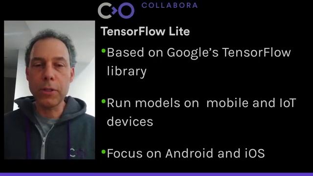 Living on the Edge: Pure Open Source AI Stack with Panfrost, GStreamer and Tensorflow Lite смотреть онлайн