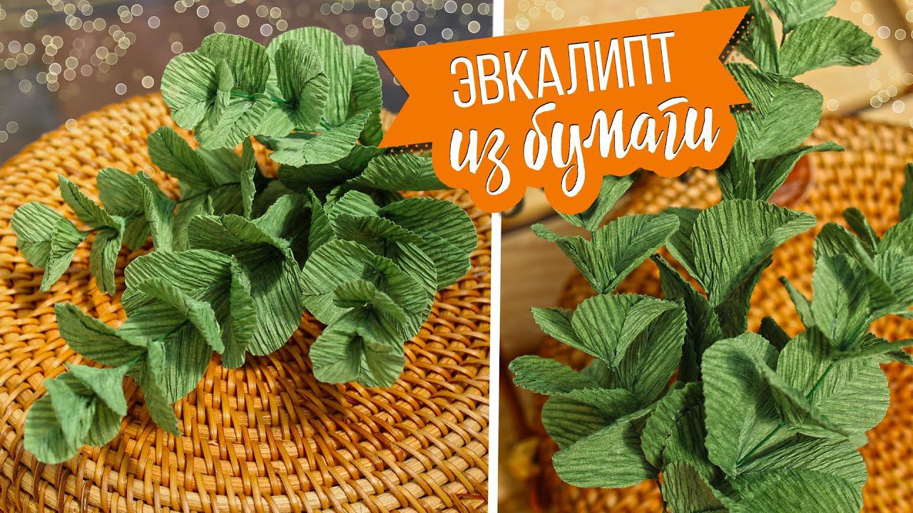 Эвкалипт из гофрированной бумаги своими руками (мастер-класс) / DIY Как сделать веточки Эвкалипта смотреть онлайн