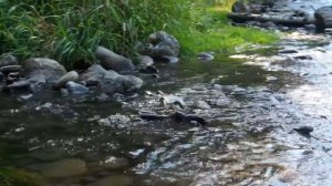 Ibanez AR 300 korea. Корейская гитара Ибанез ar 300 .