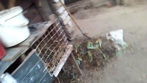 Первая часть моего строительства кролятника и маленький обзор буток кролей