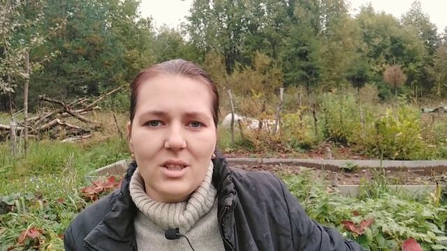 КТО У НАС ЖИВЁТ В КЛУБНИКЕ|Клубника в Ленинградской области