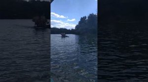 Щурово, 2020, Донецкая обл