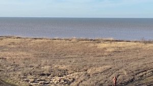 Комплектная охота с Русскими Пегими гончими и Хортыми