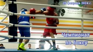 Краснодар - Чемпионат и Первенство Краснодарского края по боксу - 25 февраля 2024 г.