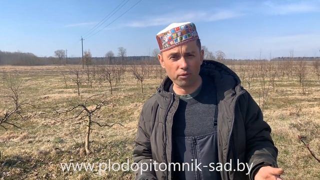 ЧЕМ ОБРАБАТЫВАТЬ САД РАННЕЙ ВЕСНОЙ? Опрыскивание медьсодержащими препаратами. Видео из питомника. смотреть онлайн