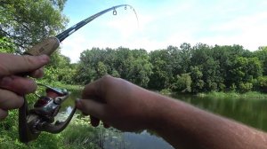 Фидерная и Спиннинговая Рыбалка. Наконец-то попался тот, кого я ждал