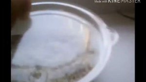 ЯЩЕРЕЦА НЕ ЕСТ!!!!