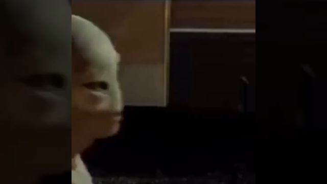 Paul the alien (From the movie “Paul”) dancing for 1 hour, 40 minutes, and 39 seconds смотреть онлайн