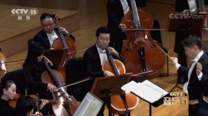 Chloe Chua, Christian Li, Kevin Zhu, Siqing Lu - Vivaldi Concerto for 4 Violins in B minor: Allegro