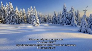 Ароматный компот из персиков с косточками на зиму