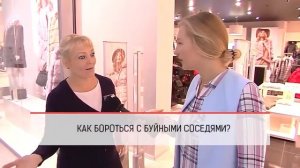 Как бороться с буйными соседями