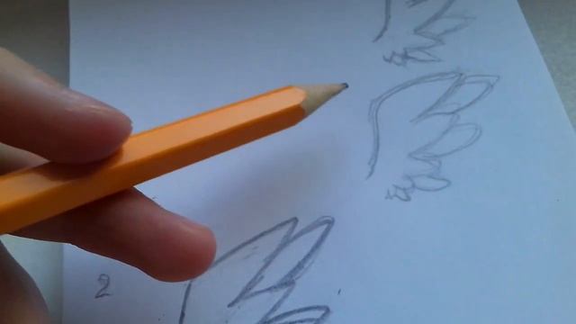 Как рисовать крылья. Урок 1☺ смотреть онлайн