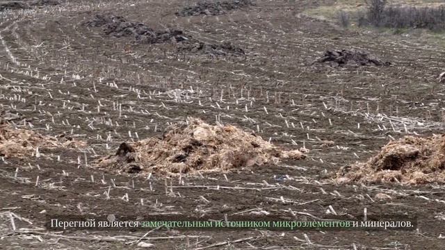 Как правильно подготовить почву в начале посадочного сезона. Все секреты успешного садоводства.