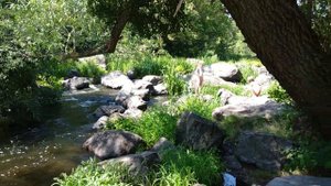 Букский каньон. Отдых с палатками)