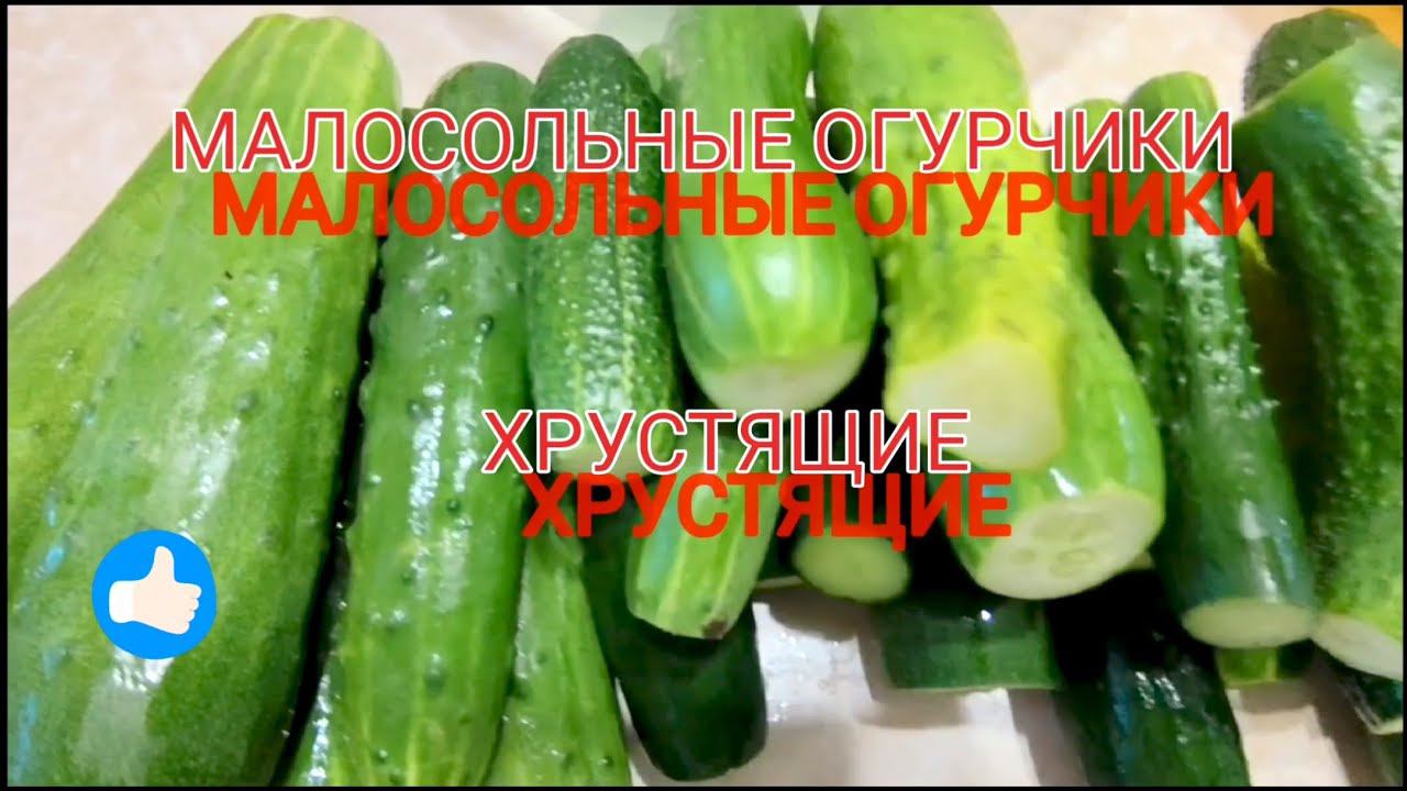 МАЛОСОЛЬНЫЕ ОГУРЦЫ | ВКУСНЫЕ ХРУСТЯЩИЕ! малосольные огурчики