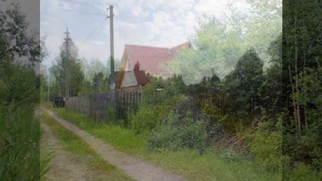 московская область павлово посадский район деревня евсеево / личный дневник павловский посад