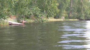 ? озеро Дикое (Боградский район, Хакасия) 01.08.2022г