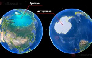 Арктика и Антарктика - чем отличаются?