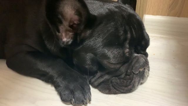 Спящий Джонни❤️ смотреть онлайн