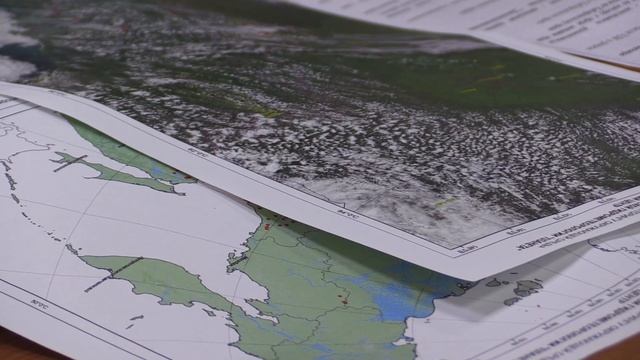 Лесопользователи обязаны оперативно направлять силы и средства для ликвидации возгораний