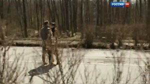 Королева сентября - Бандера Андрей