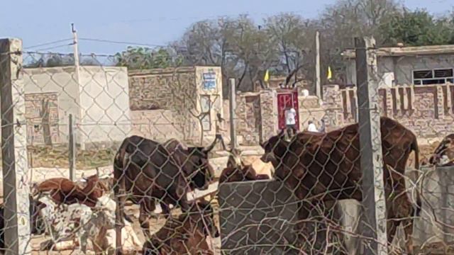 Redmi Note 7 Pro 48 MP Camera 8x Zoom Test смотреть онлайн