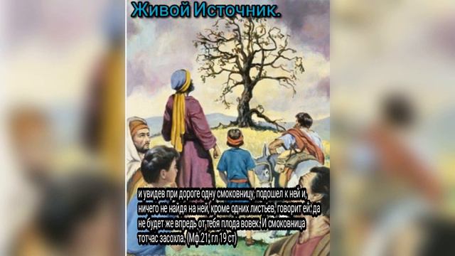 и увидев при дороге одну смоковницу, Матф 21 гл 19 ст смотреть онлайн