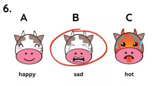 ESL - English Listening Test for Kids - Starter Level - Test 7
