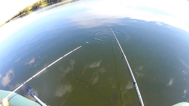 Ишим - Жарколь. Кренк в деле. Ловля крупных окуней и щуки смотреть онлайн