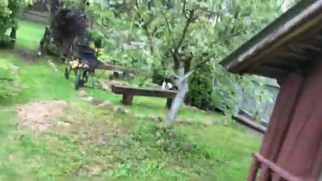 Минималистичный сад друзей Красивые сельские сады Беларуси