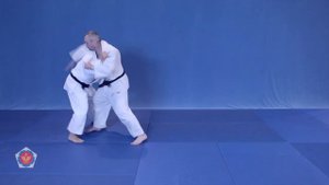 (Хиккоми гаэши) Hikkomi gaeshi - бросок через голову с подсадом голенью с захватом пояса сверху.