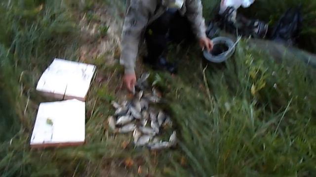 Копия видео "звенигород" смотреть онлайн