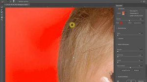 TASPP 89: Photoshop CC 2018 Motiv auswählen / Auswählen und maskieren Haare freistellen