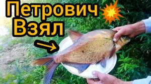Рыбалка на реке Десна