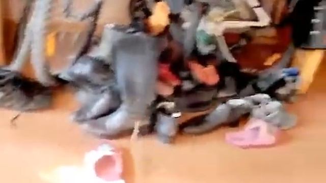 Самая умная собака, лабрадор ВАЛЬТЕР БЛЕЙК Крыма! смотреть онлайн