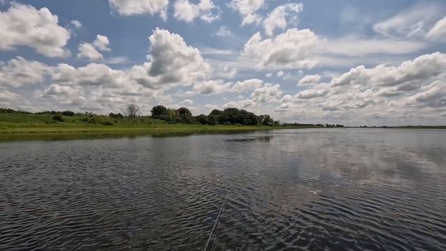 Змееголов. Рыбалка выходного дня.