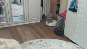 басик и пылесос