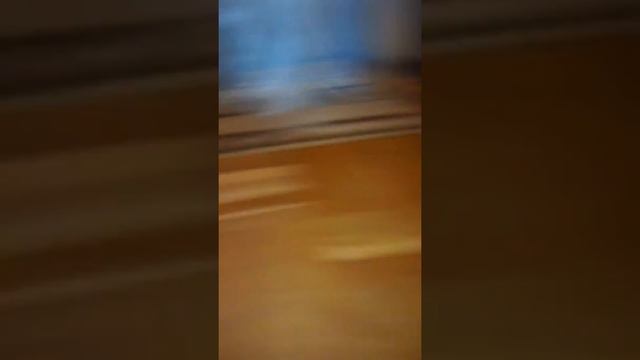 Второе видео знакомство кто уже потписался на канал и поставил лайк смотреть онлайн