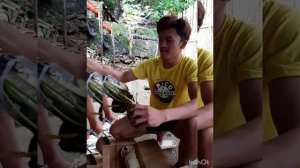 #Unboxing alocasia from tacloban,samar#rareplants