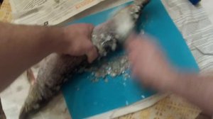 Супер инструмент для чистки рыбы